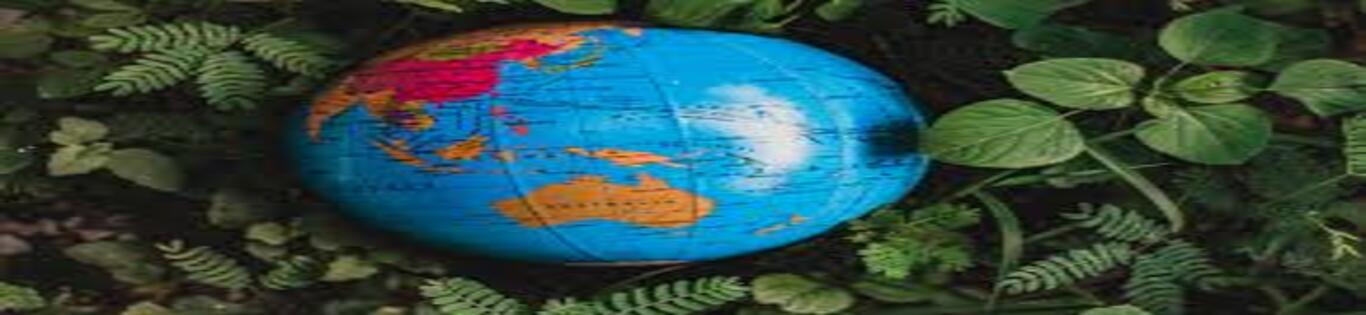 Department of Geography